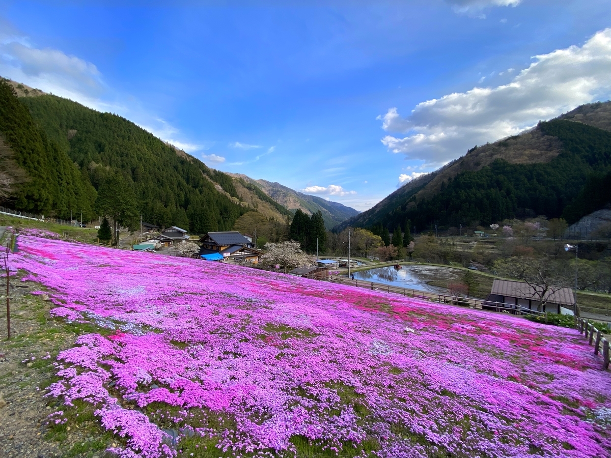 f:id:gk-murai33-gk:20210412221030j:plain