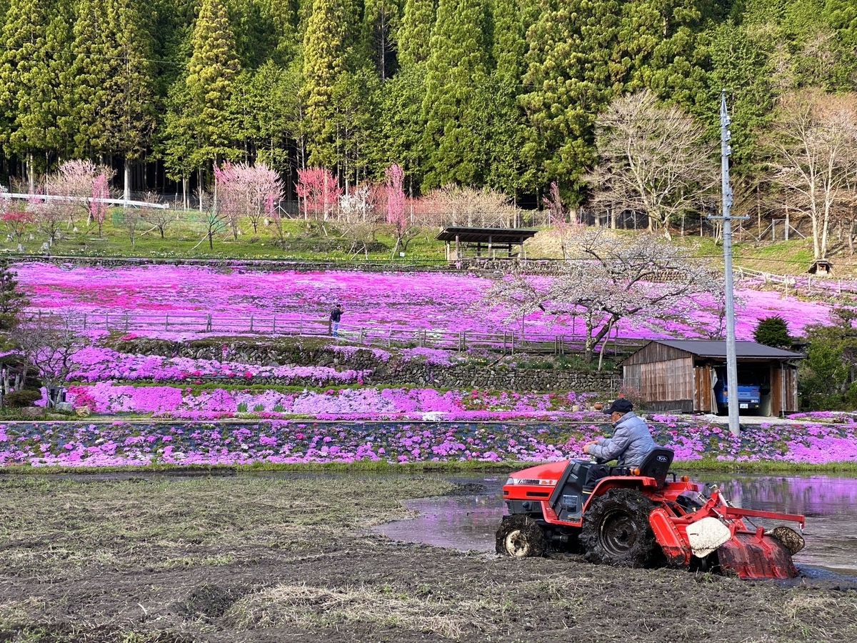 f:id:gk-murai33-gk:20210412221429j:plain