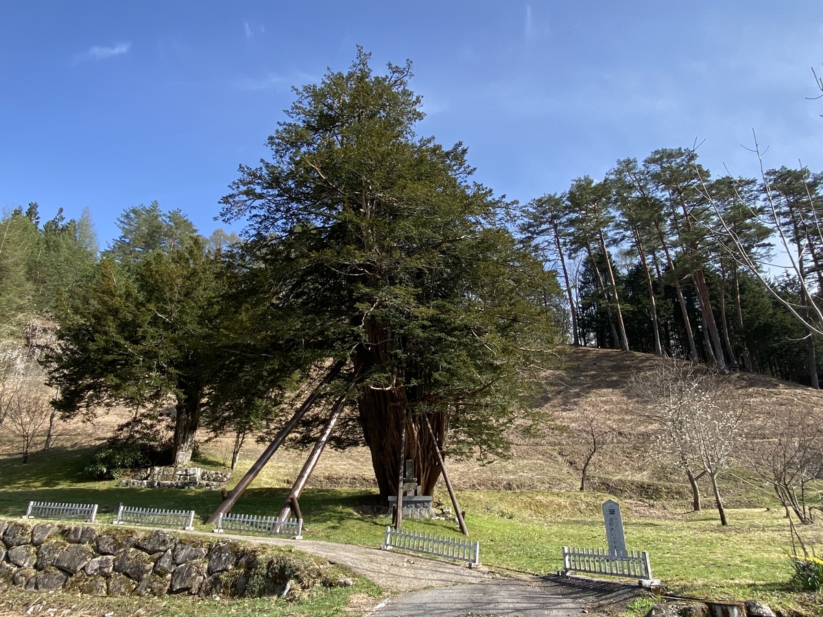 f:id:gk-murai33-gk:20210424192642j:plain