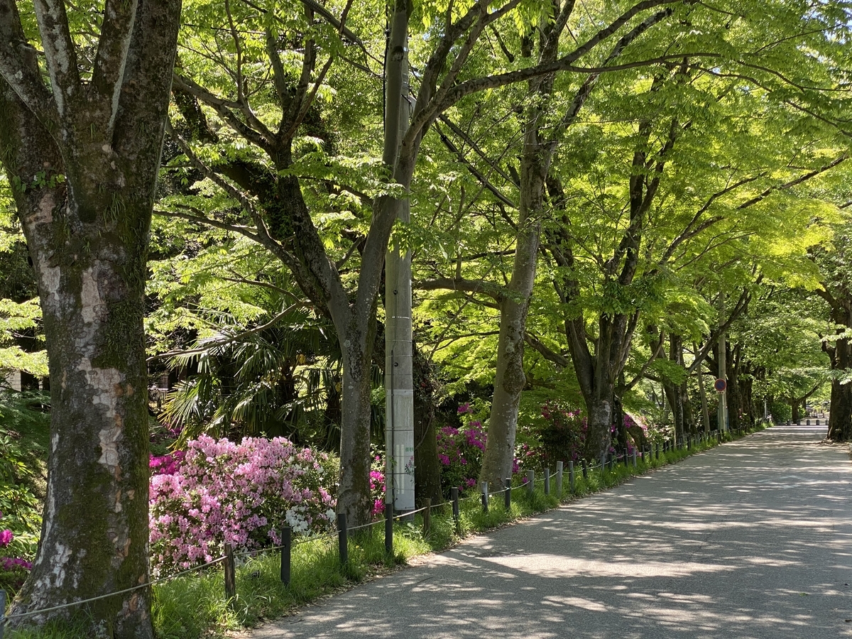 f:id:gk-murai33-gk:20210427225730j:plain