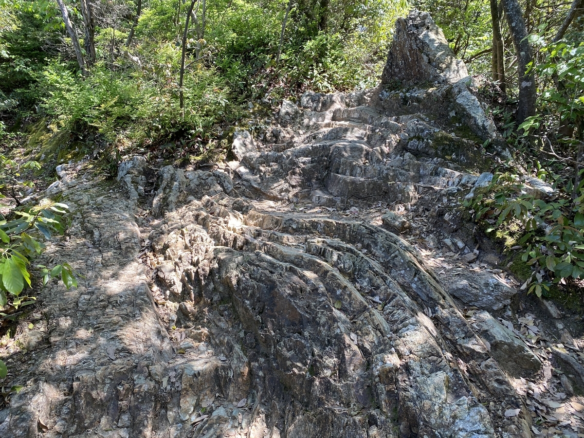 f:id:gk-murai33-gk:20210427232830j:plain