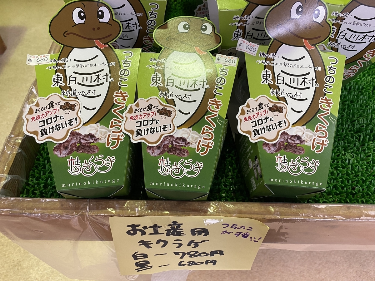 未確認生物「ツチノコ」は本当に存在するのか。 - 勝手に岐阜県観光大使