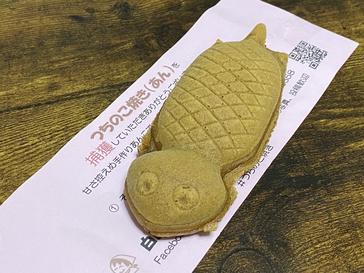 未確認生物「ツチノコ」は本当に存在するのか。 - 勝手に岐阜県観光大使
