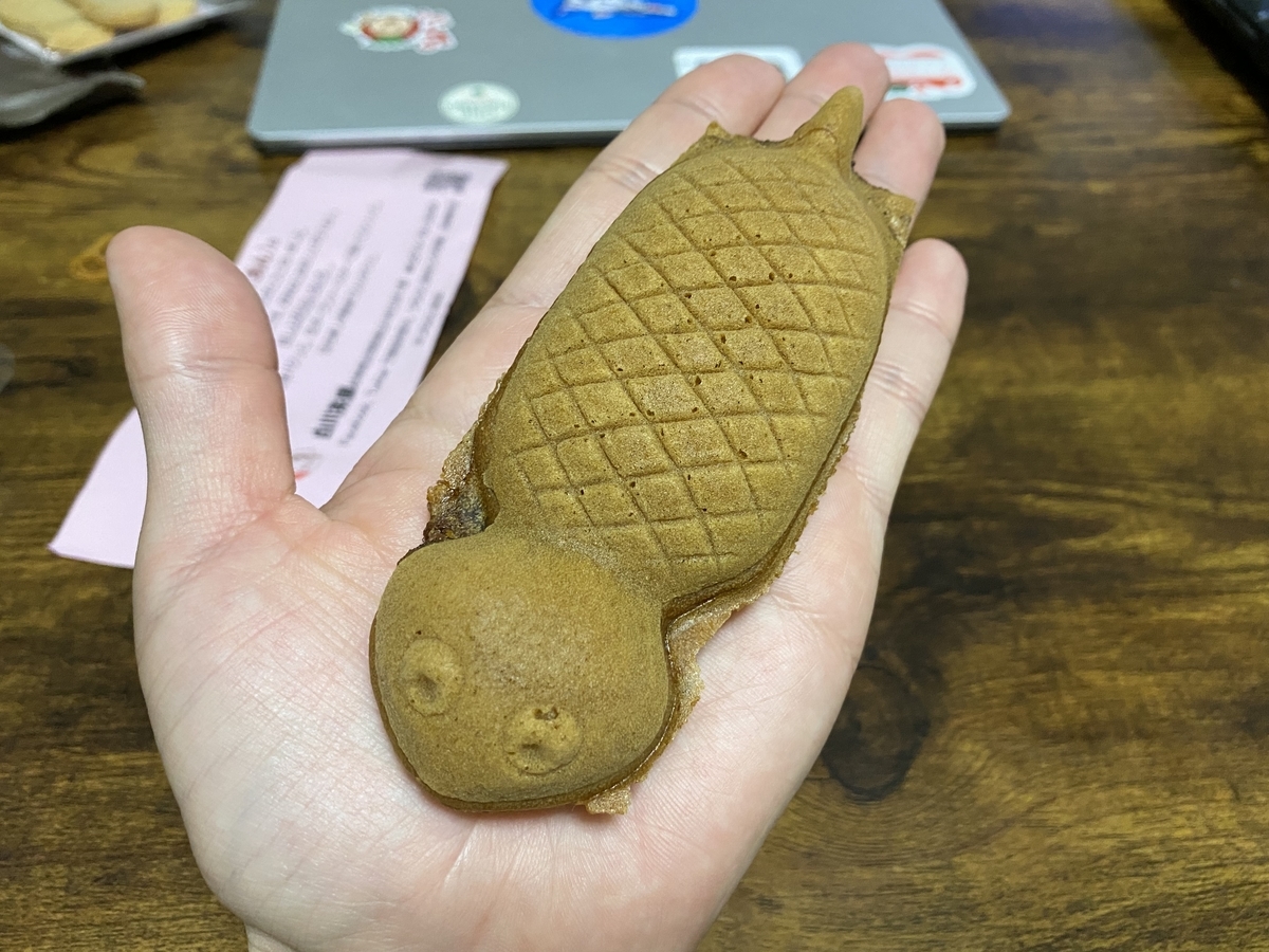 未確認生物「ツチノコ」は本当に存在するのか。 - 勝手に岐阜県観光大使