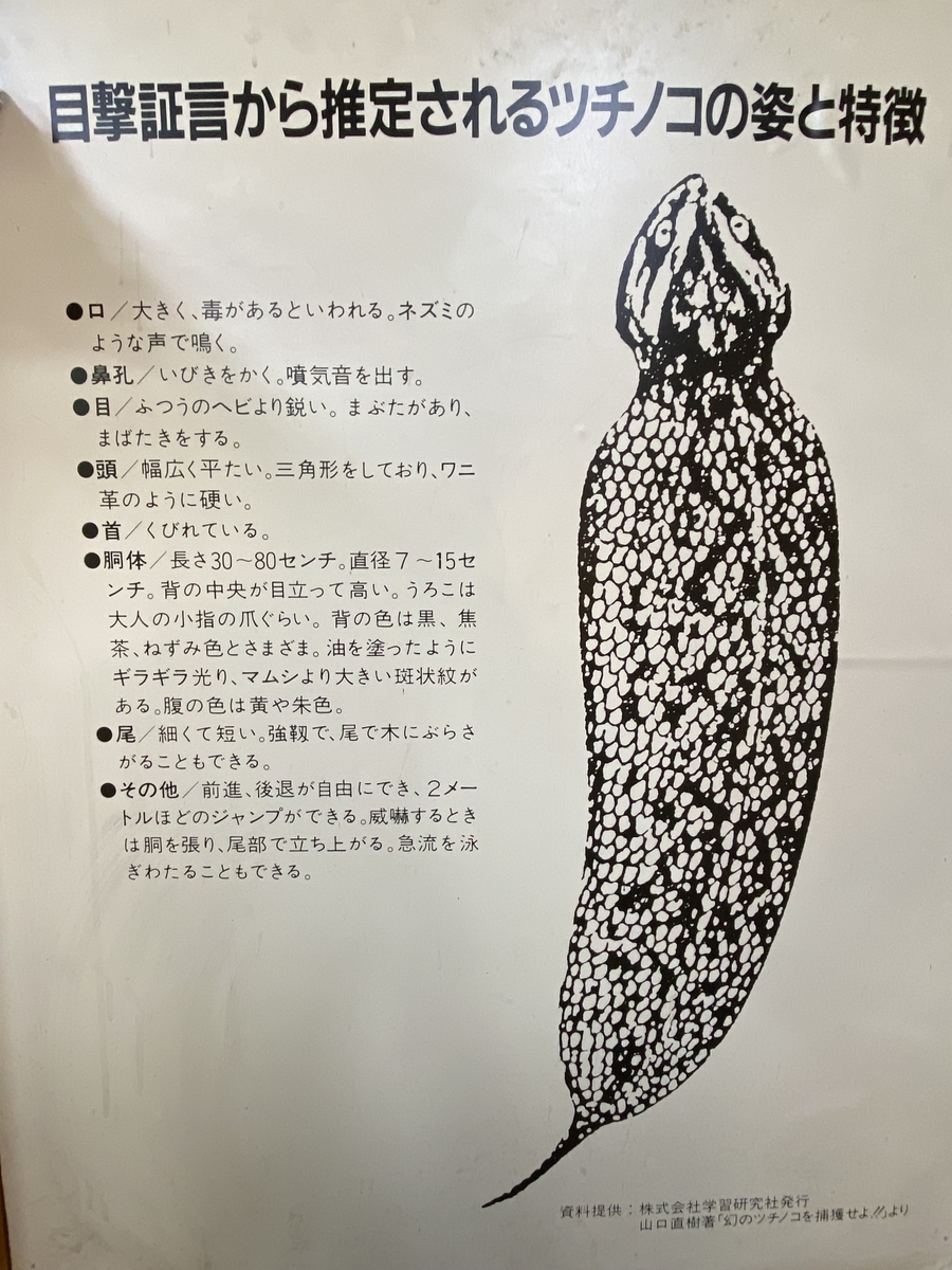 幻のツチノコを捕獲せよ!! 全国各地で目撃多発!ツチノコは必ずいる
