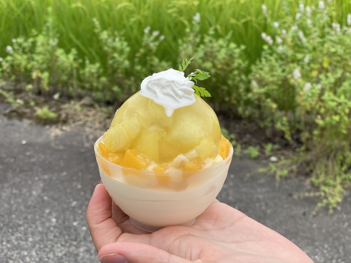 f:id:gk-murai33-gk:20210812161713j:plain