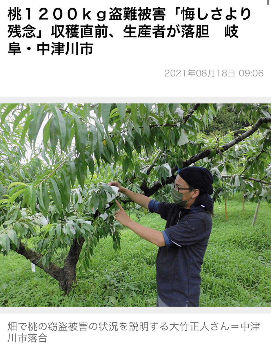 f:id:gk-murai33-gk:20210821081728j:plain