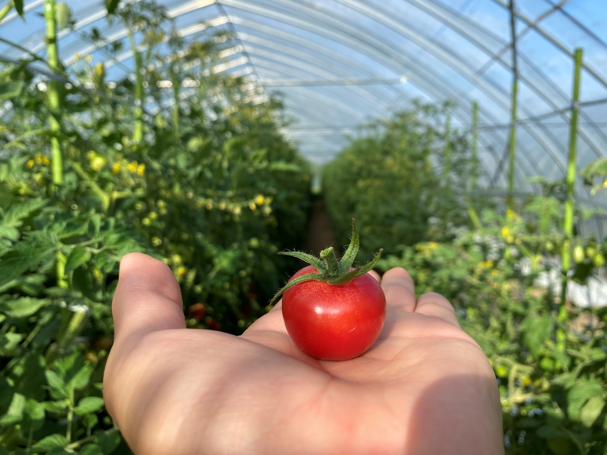 f:id:gk-murai33-gk:20210821082249j:plain