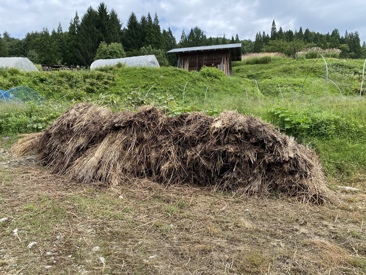 f:id:gk-murai33-gk:20210902152833j:plain