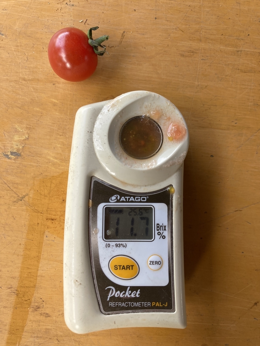 f:id:gk-murai33-gk:20210902155029j:plain