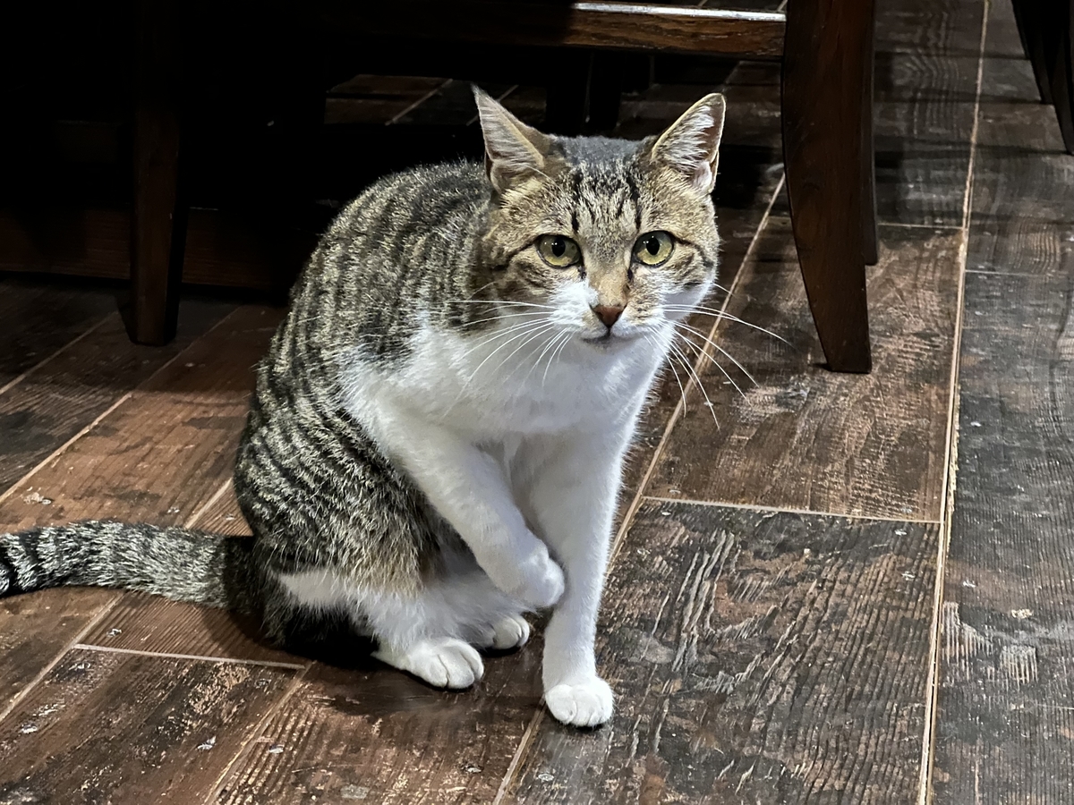 f:id:gk-murai33-gk:20211005083204j:plain