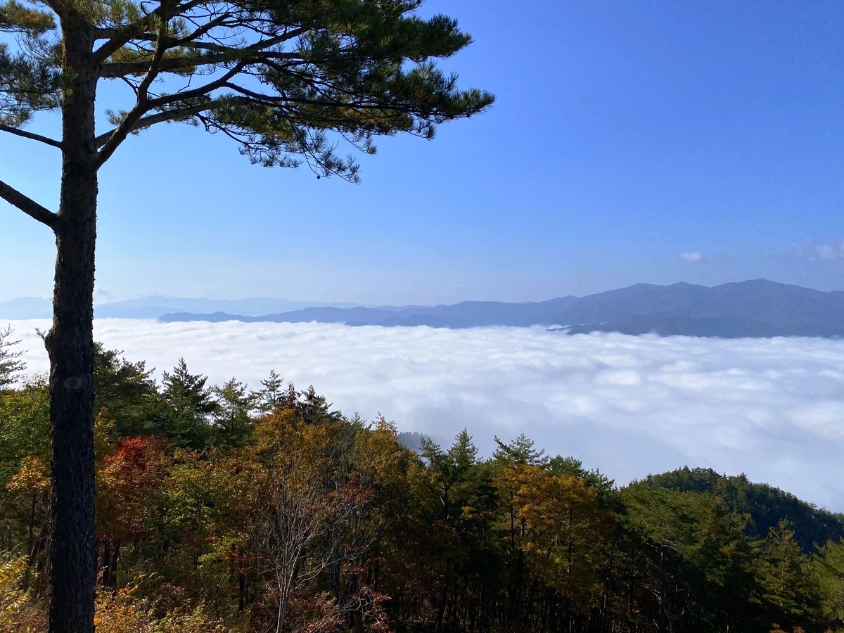 f:id:gk-murai33-gk:20211020082607j:plain