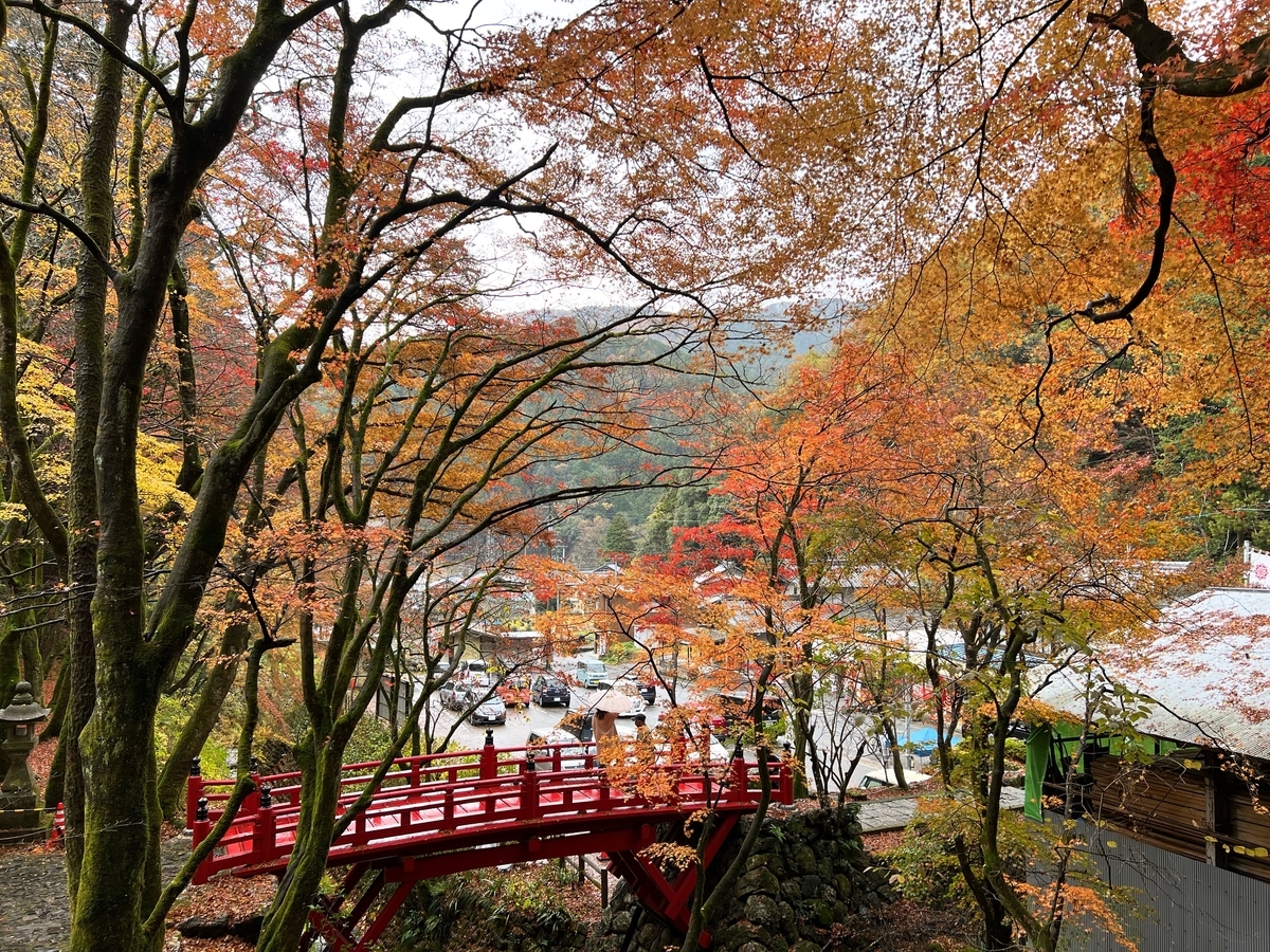 f:id:gk-murai33-gk:20211127085230j:plain