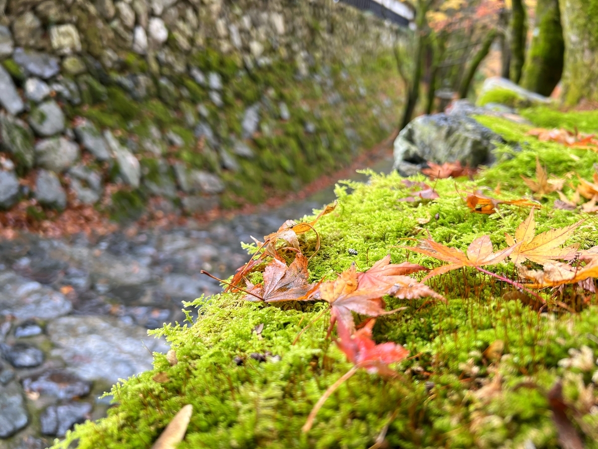 f:id:gk-murai33-gk:20211127085311j:plain