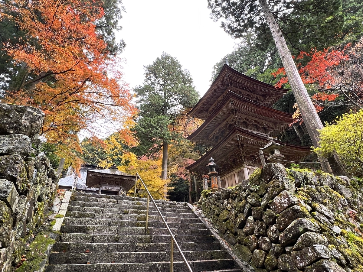 f:id:gk-murai33-gk:20211127085416j:plain