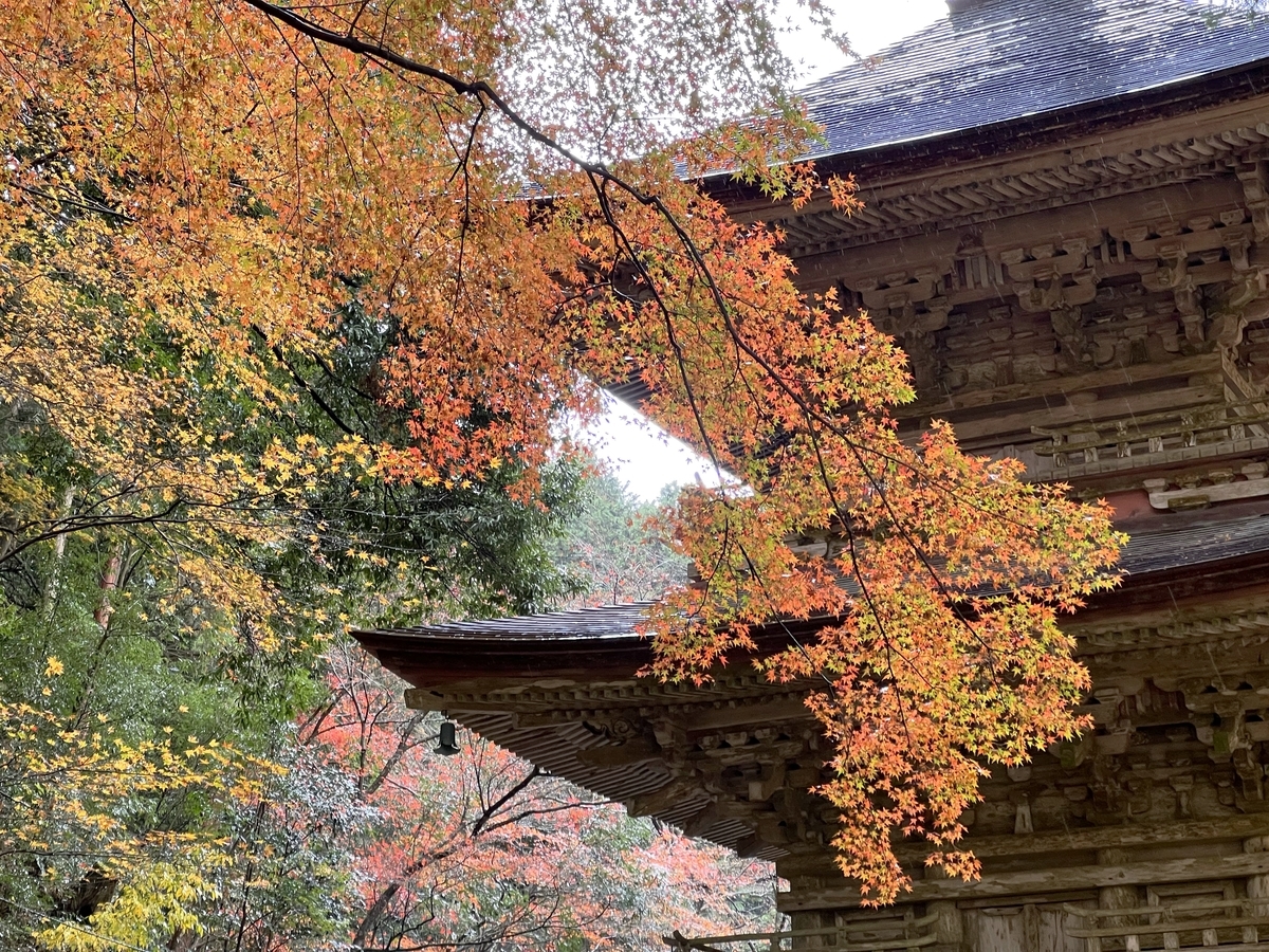 f:id:gk-murai33-gk:20211127085601j:plain