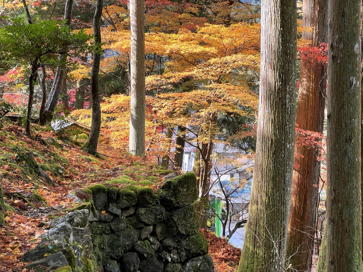 f:id:gk-murai33-gk:20211127085721j:plain