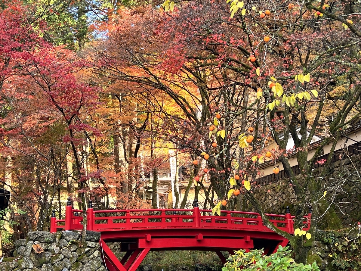 f:id:gk-murai33-gk:20211128075157j:plain