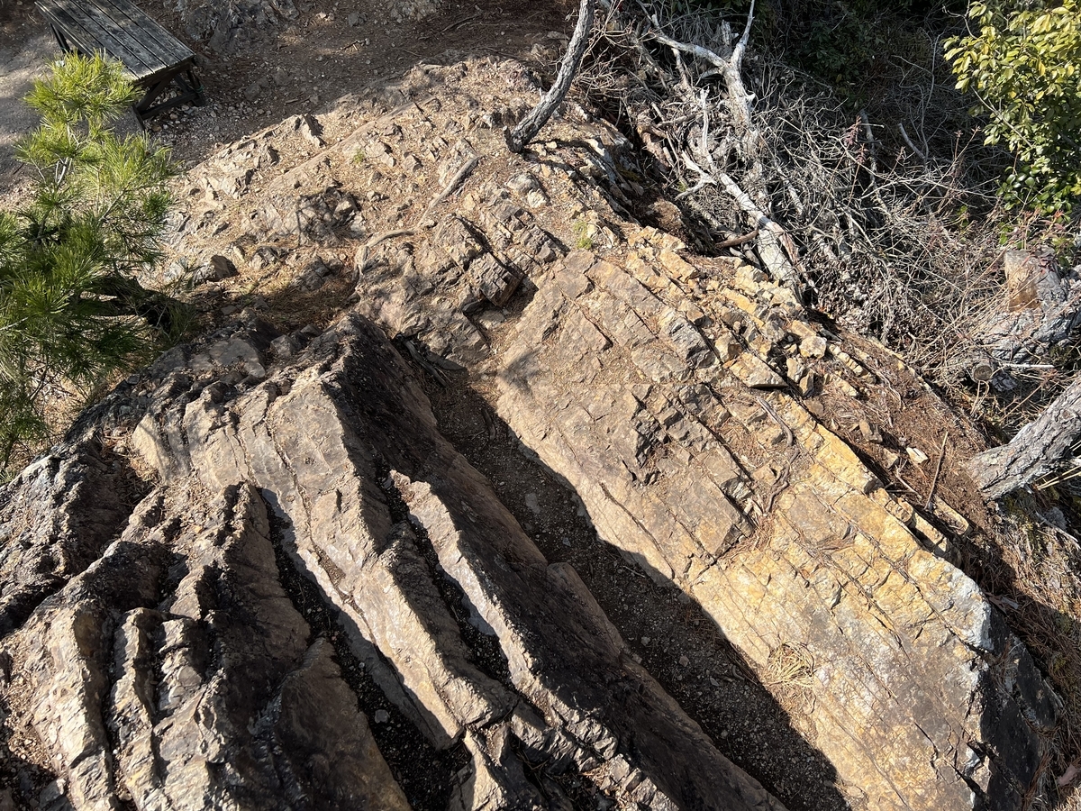 f:id:gk-murai33-gk:20220202230529j:plain