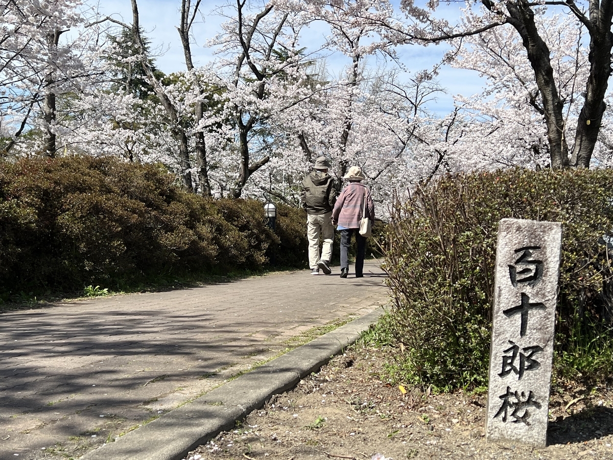 f:id:gk-murai33-gk:20220401211901j:plain