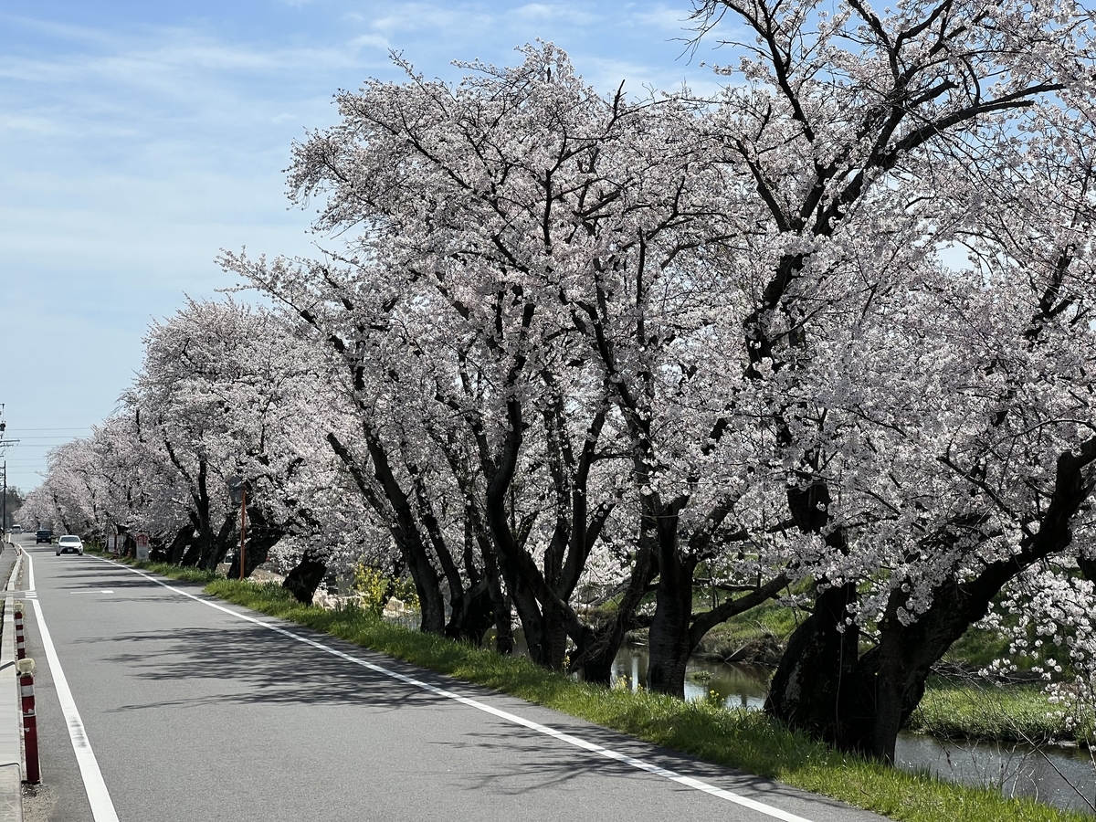 f:id:gk-murai33-gk:20220401212944j:plain