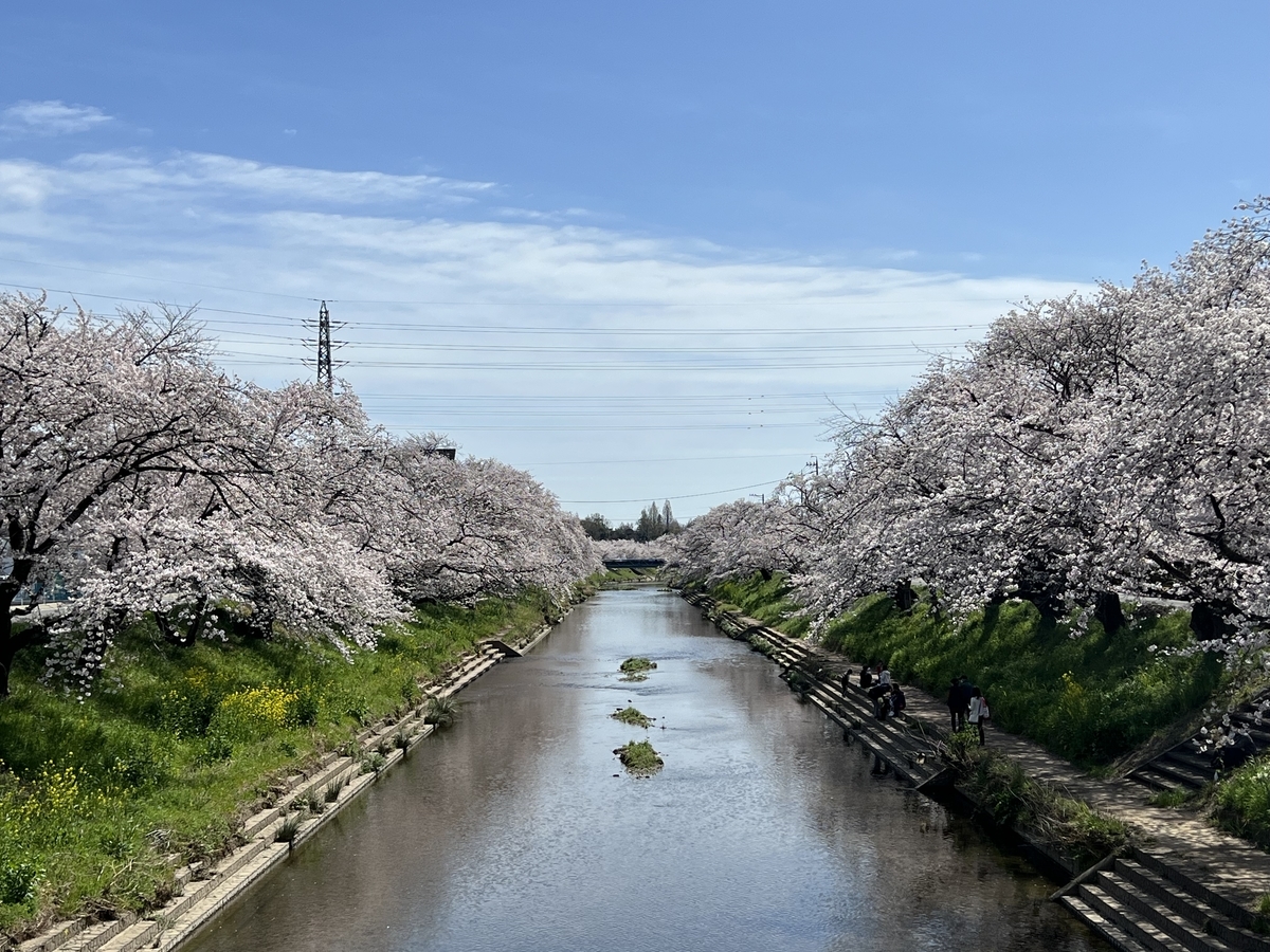 f:id:gk-murai33-gk:20220401214721j:plain