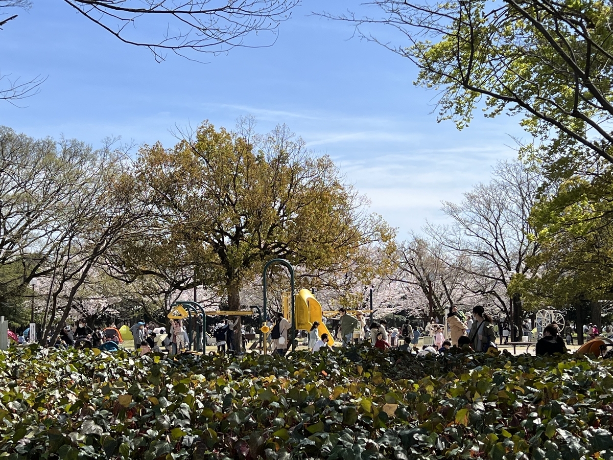 f:id:gk-murai33-gk:20220401215743j:plain