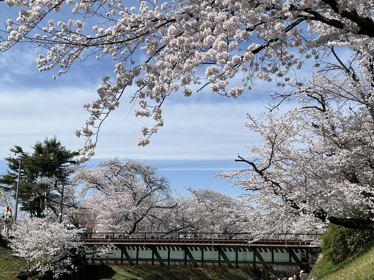 f:id:gk-murai33-gk:20220401222336j:plain