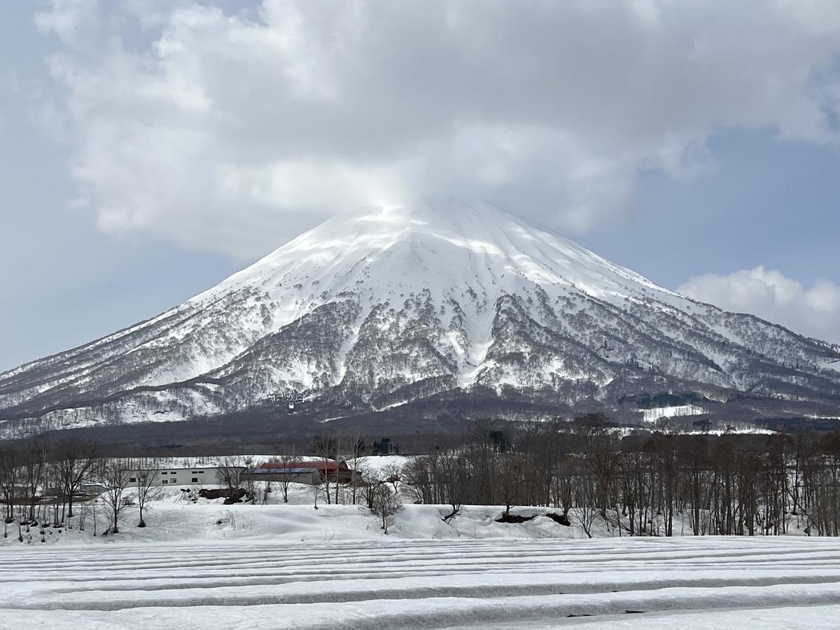 f:id:gk-murai33-gk:20220409222434j:plain