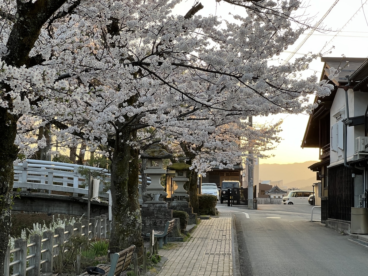 f:id:gk-murai33-gk:20220414225814j:plain