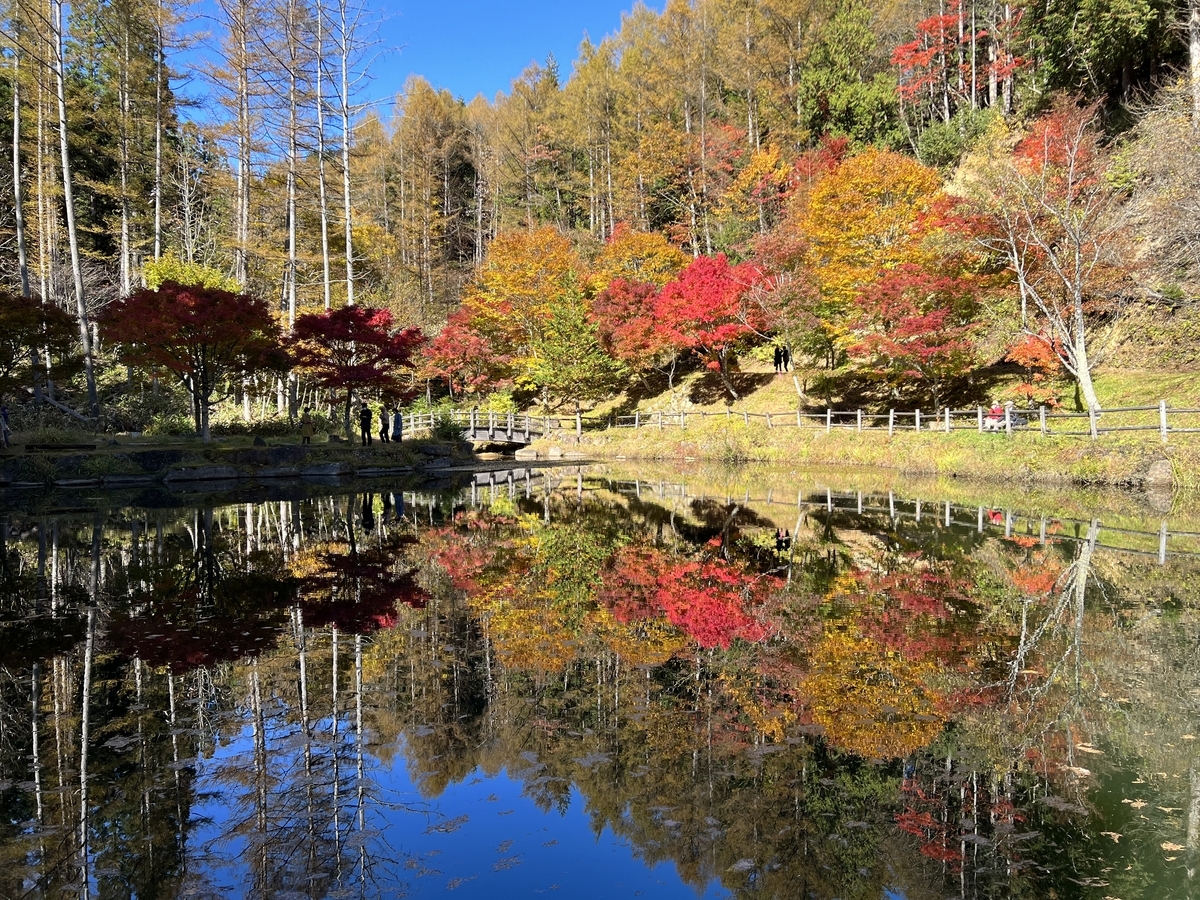 超速報】2023年せせらぎ街道の紅葉情報 - 勝手に岐阜県観光大使