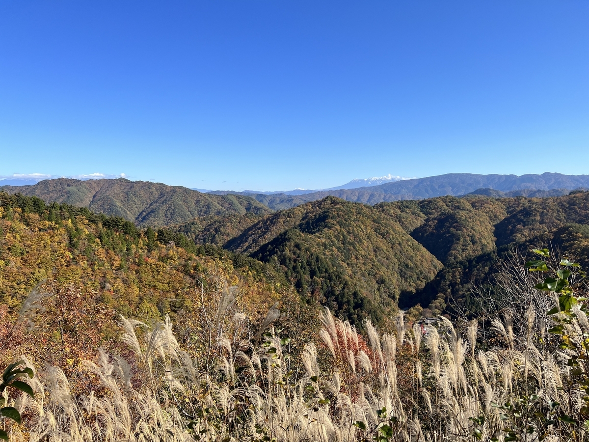 超速報】2023年せせらぎ街道の紅葉情報 - 勝手に岐阜県観光大使