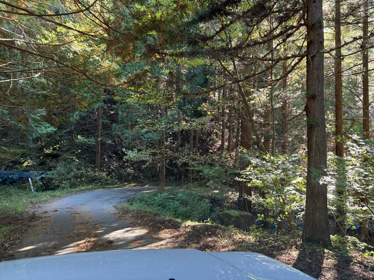 誰もいない名瀑・乗政大滝へ行ってきた - 勝手に岐阜県観光大使