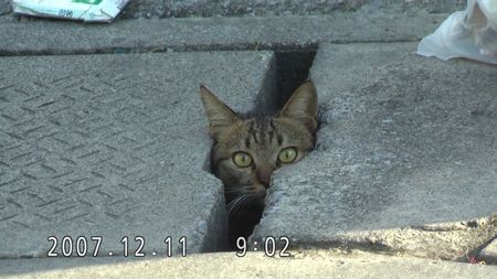 f:id:gk-okinawa:20071221204702j:image