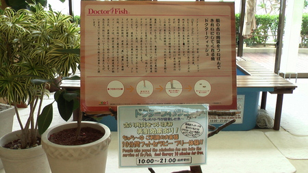 f:id:gk-okinawa:20080109125255j:image