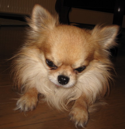 f:id:gk-okinawa:20090113172251j:image f:id:gk-okinawa:20090113172251j:image