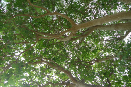 f:id:gk-okinawa:20091116155059j:image f:id:gk-okinawa:20091116155059j:image