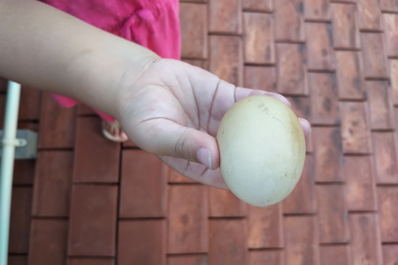 f:id:gk-okinawa:20180907172920j:image f:id:gk-okinawa:20180907172920j:image