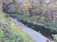 IMG_4217.jpg