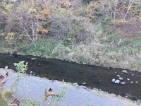 IMG_4218.jpg