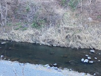 IMG_4462.jpg