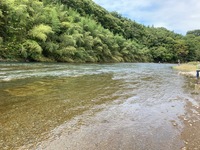 IMG_3701.jpg