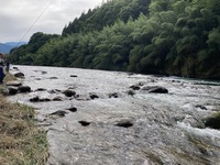 IMG_3725.jpg