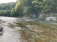 IMG_3727.jpg