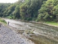 IMG_3730.jpg