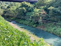 IMG_3601.jpg