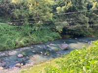 IMG_3603.jpg