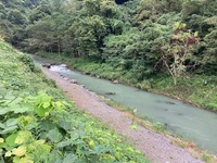 IMG_3658.jpg