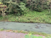 IMG_3659.jpg