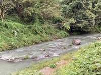 IMG_3660.jpg